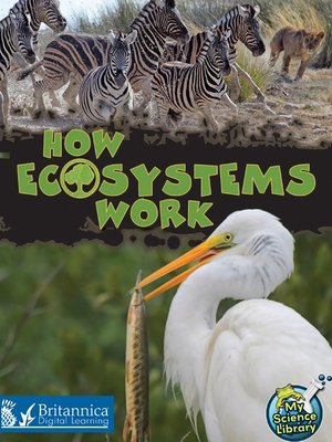 cover image of How Ecosystems Work